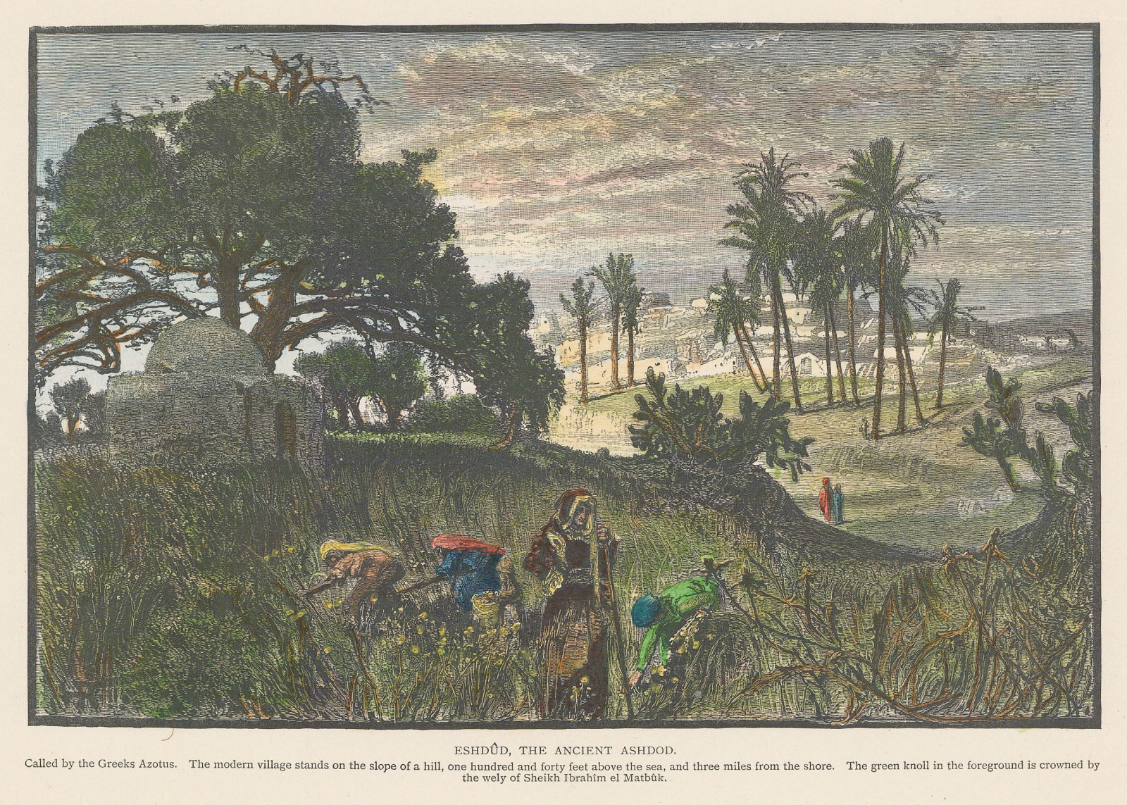 Col. Charles Wilson, Holy Land - Ashod, 1883 c.