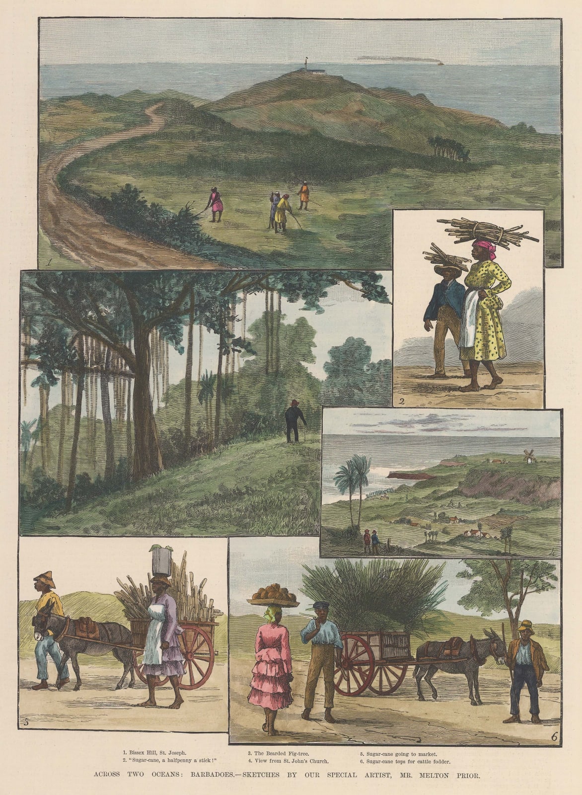 Illustrated London News (ILN), Barbados - St Joseph, 1888