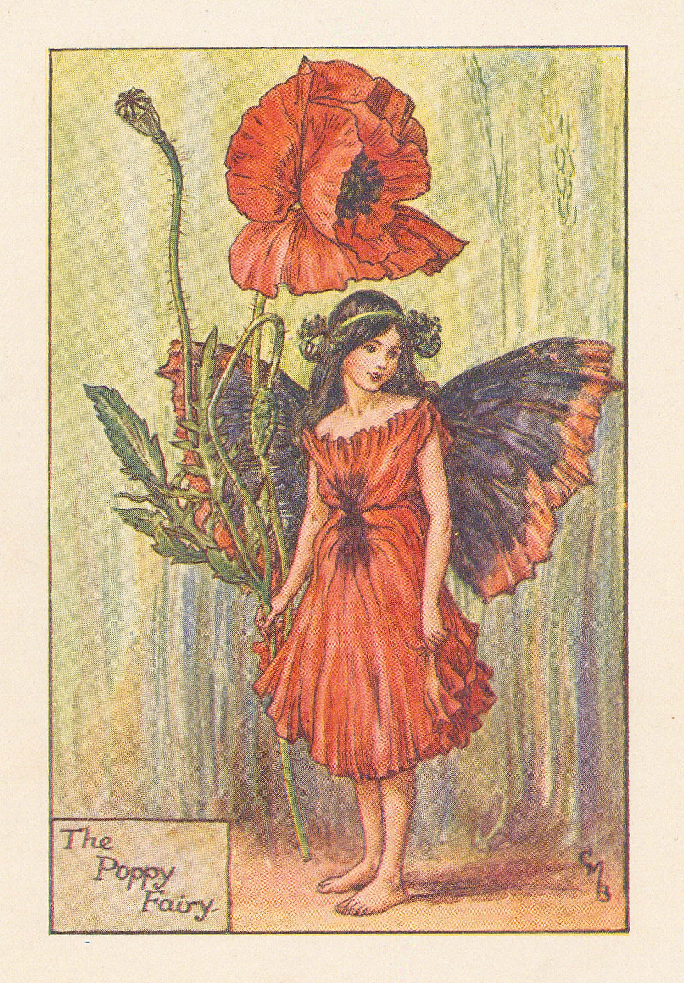 Cicely Mary Barker, Fairies - Poppy Fairy, 1925