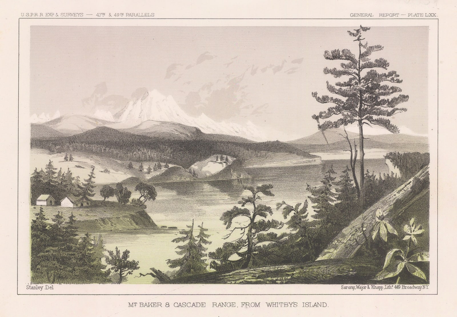 United States Pacific Railroad Expeditions (USPRR), Washington State - Cascade Range, 1857