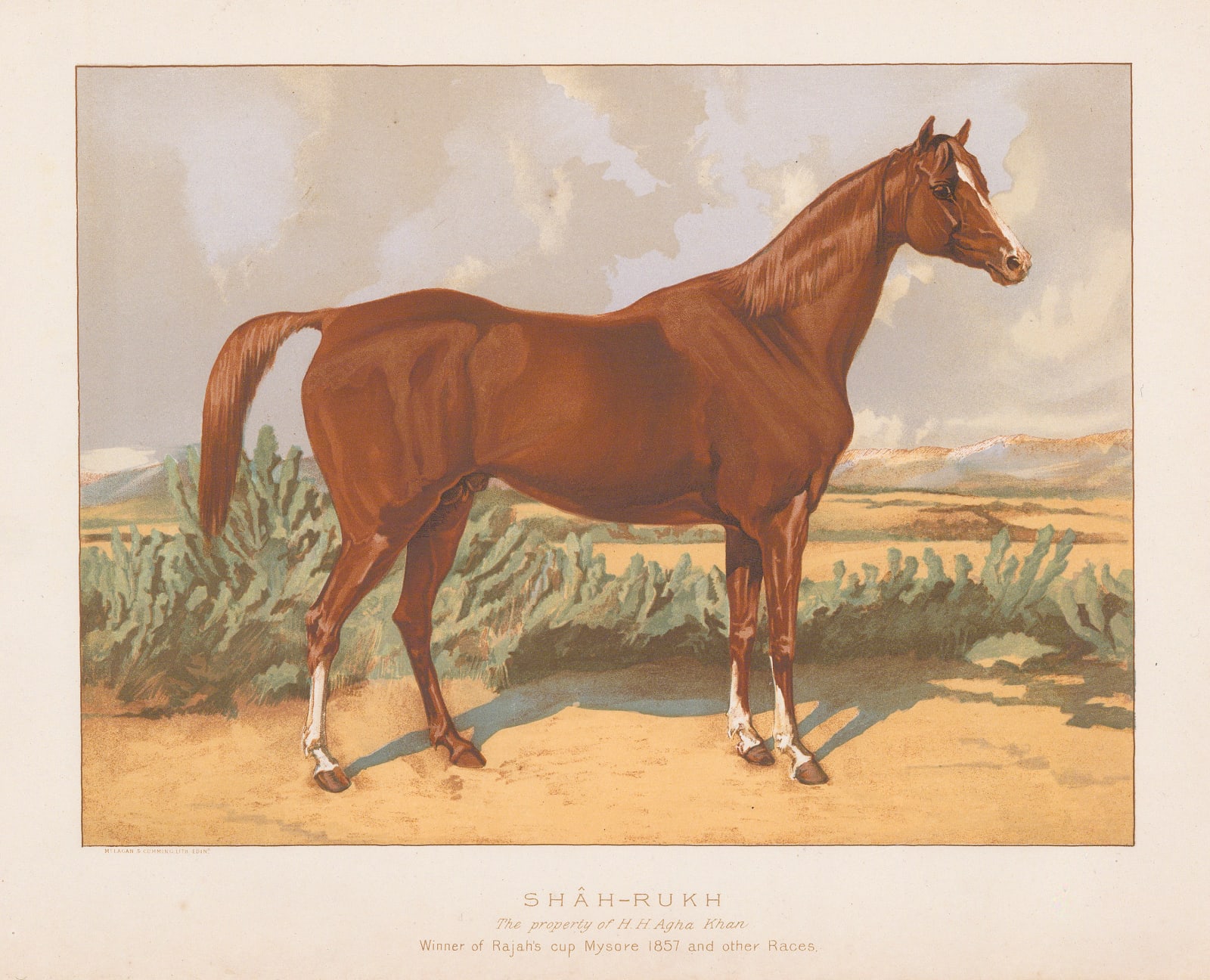 William Tweedie, Horses - Shah-Rukh, 1894