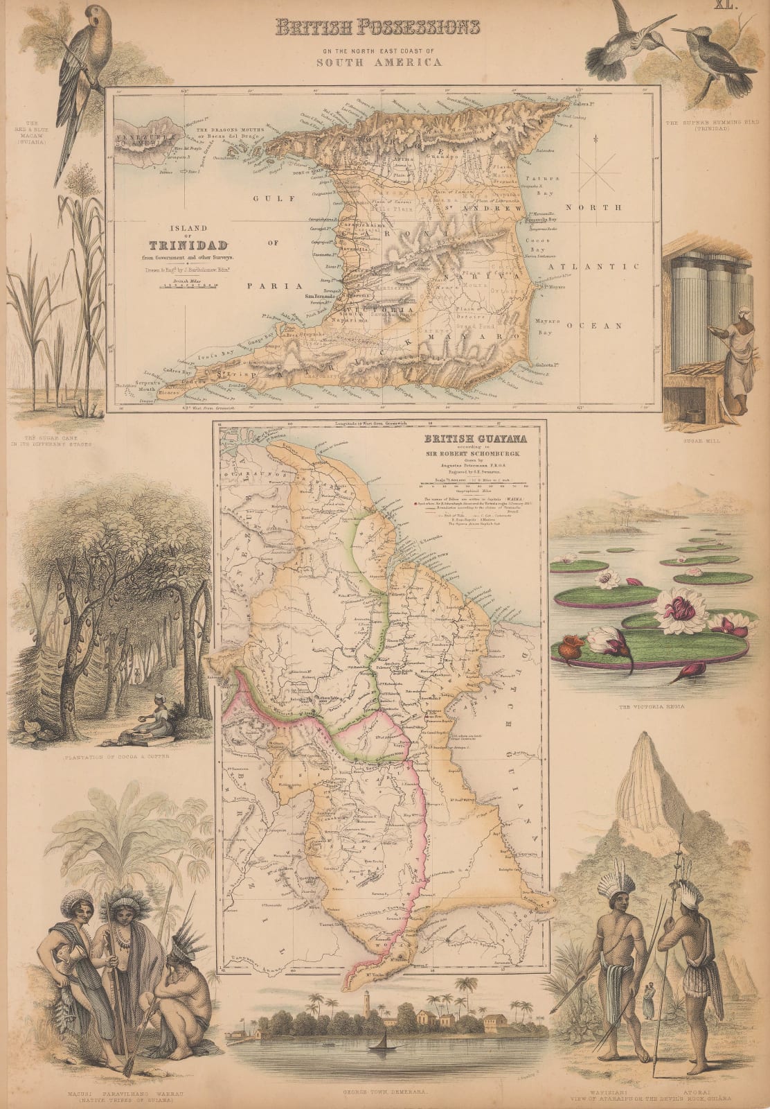 Archibald Fullarton, Trinidad and Guyana, 1860 c.