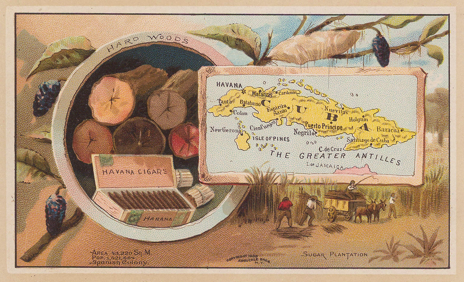 Arbuckle Brothers Company, Cuba, 1889
