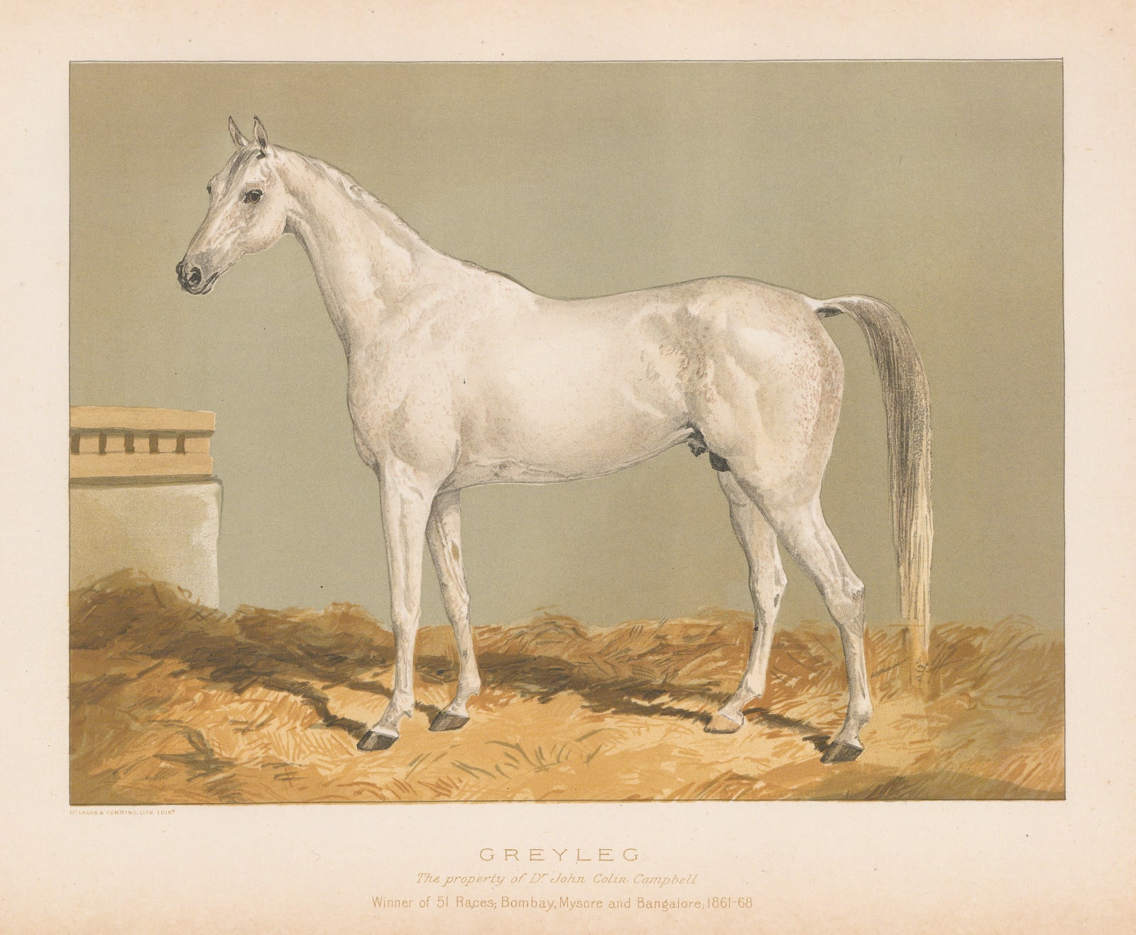William Tweedie, Horses - Greyleg, 1894