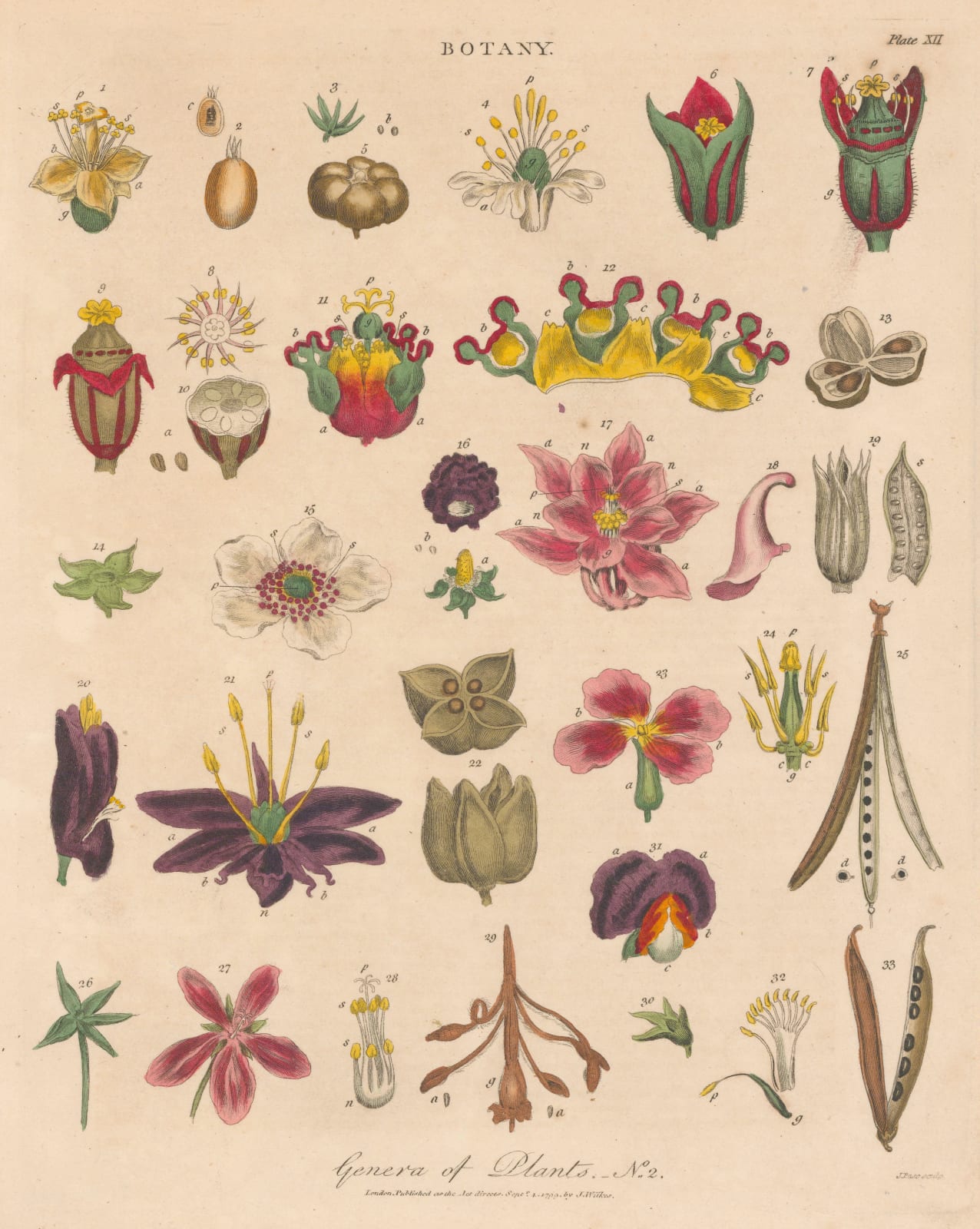 John Wilkes, Botany - Genera of Plants, 1810