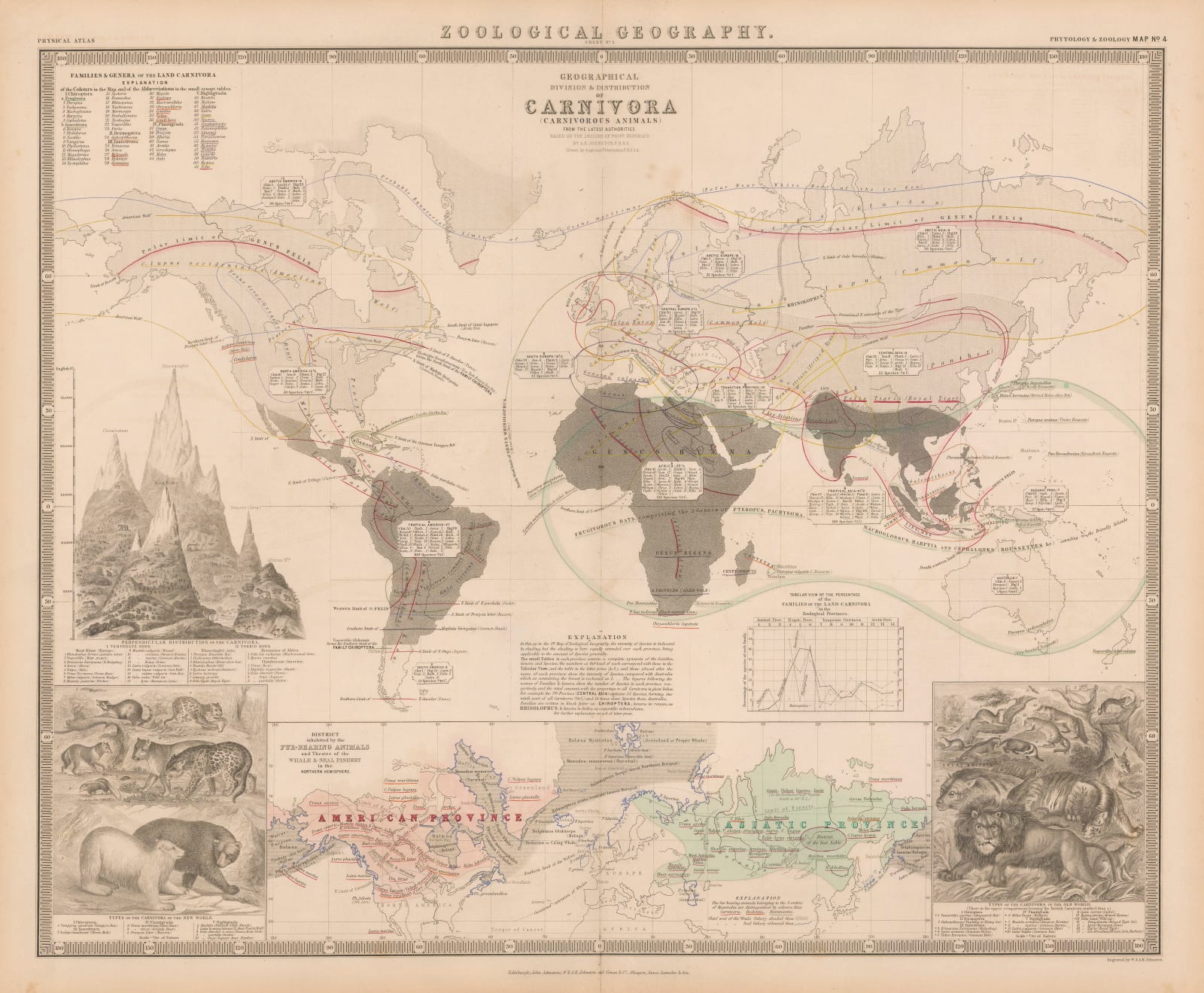 W. & A.K. Johnston, Zoological Geography - Carnivores, 1848