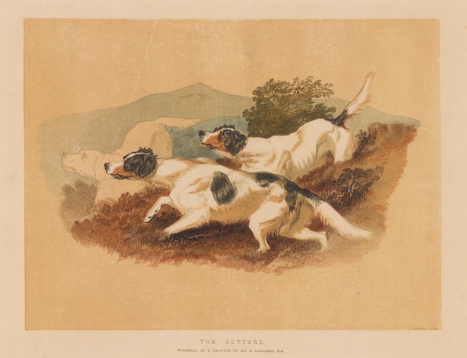 Illustrated London News (ILN), Shooting - Gun Dogs, 1874