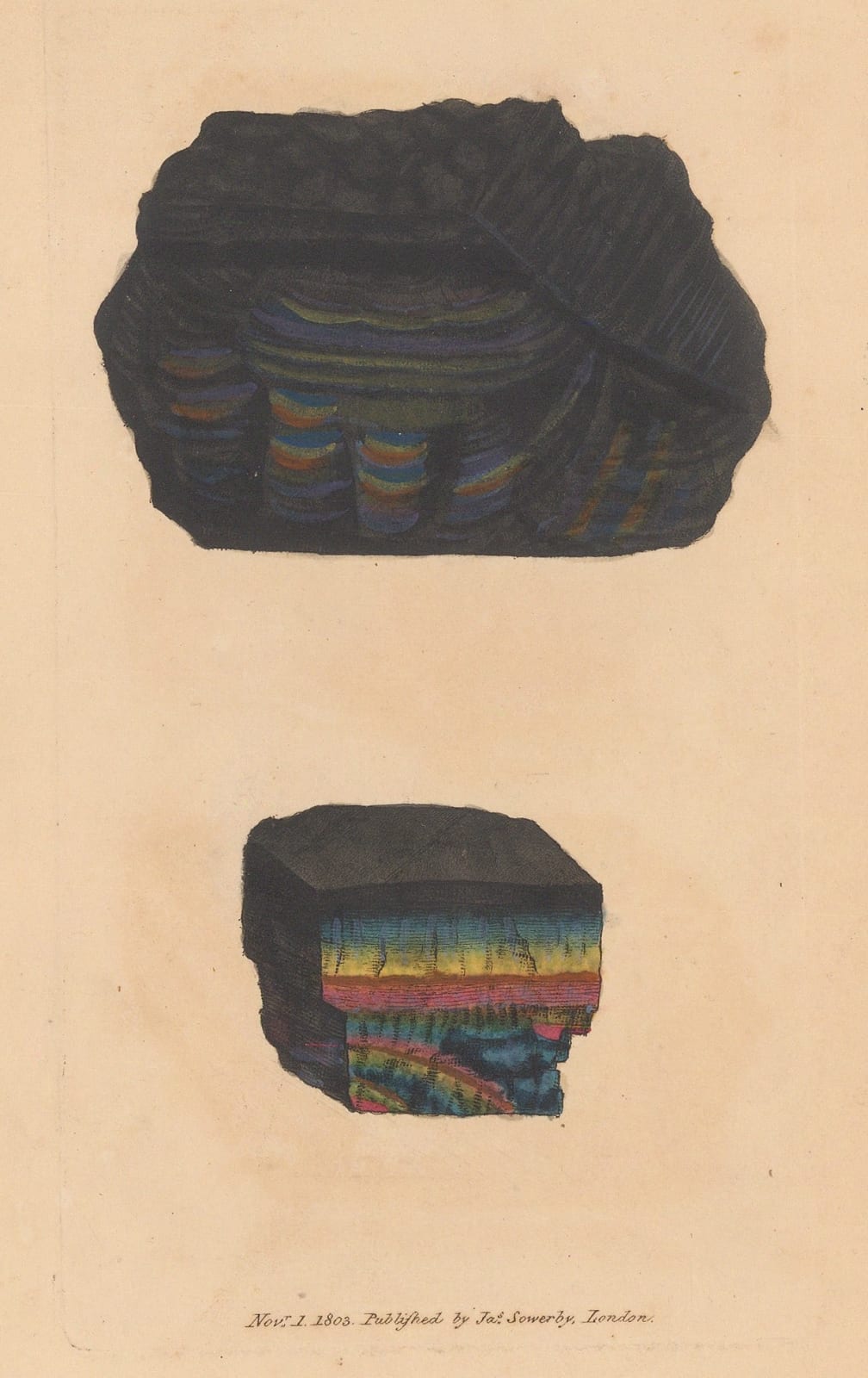 James Sowerby, Geology - Oxygenized Carbon, 1804