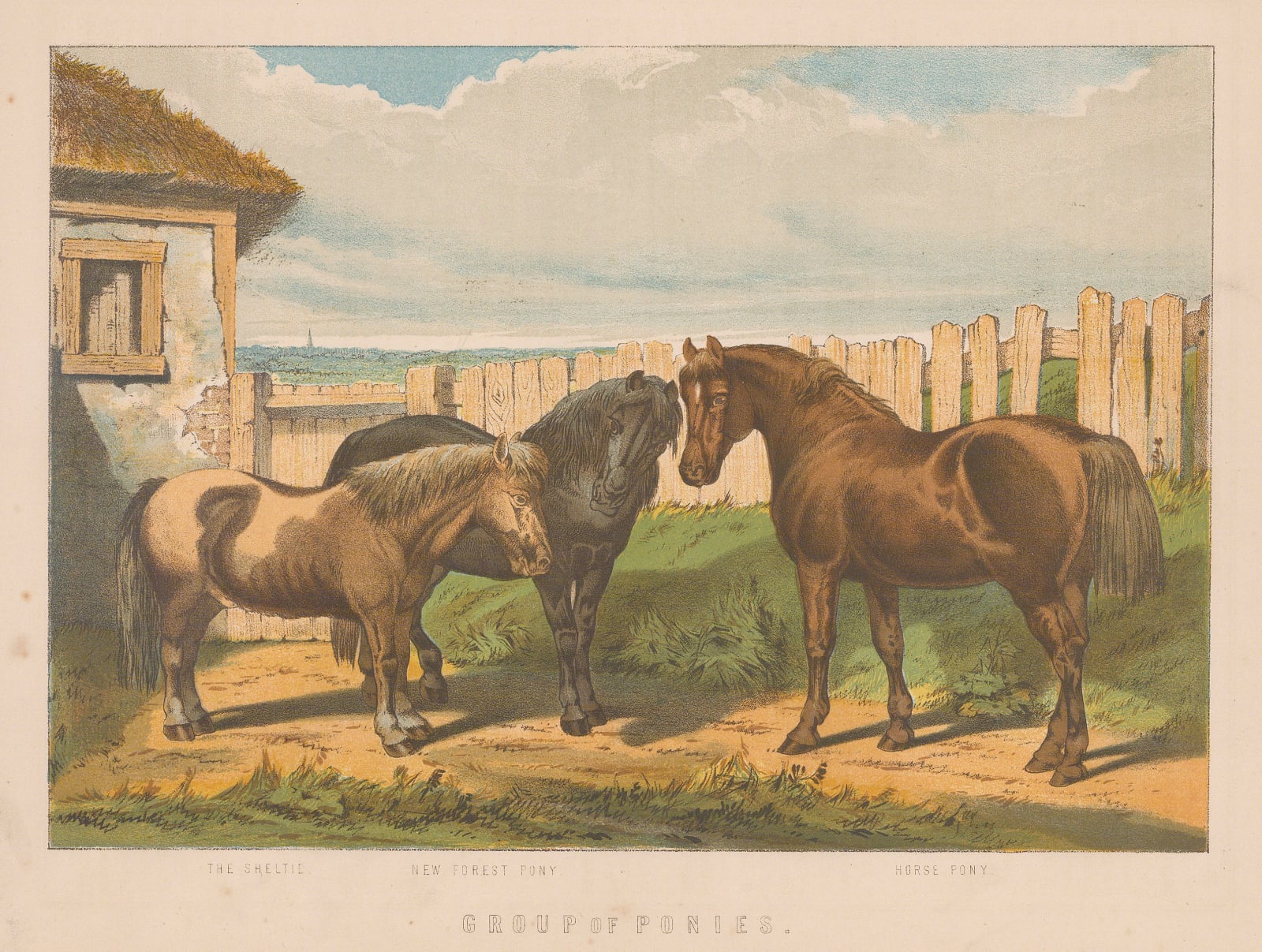 Henry Downes Miles, Horses - Ponies, 1895