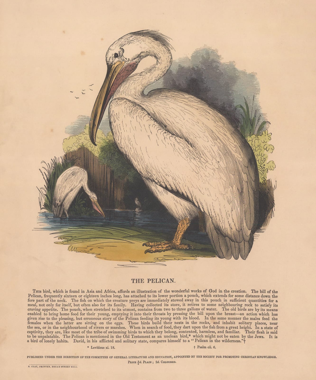 Society for Promoting Christian Knowledge (SPCK), Pelican, 1843