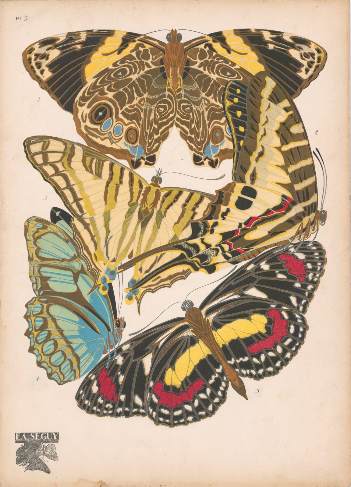 Émile-Alain Séguy, Insects - Butterflies (Papillons), 1924