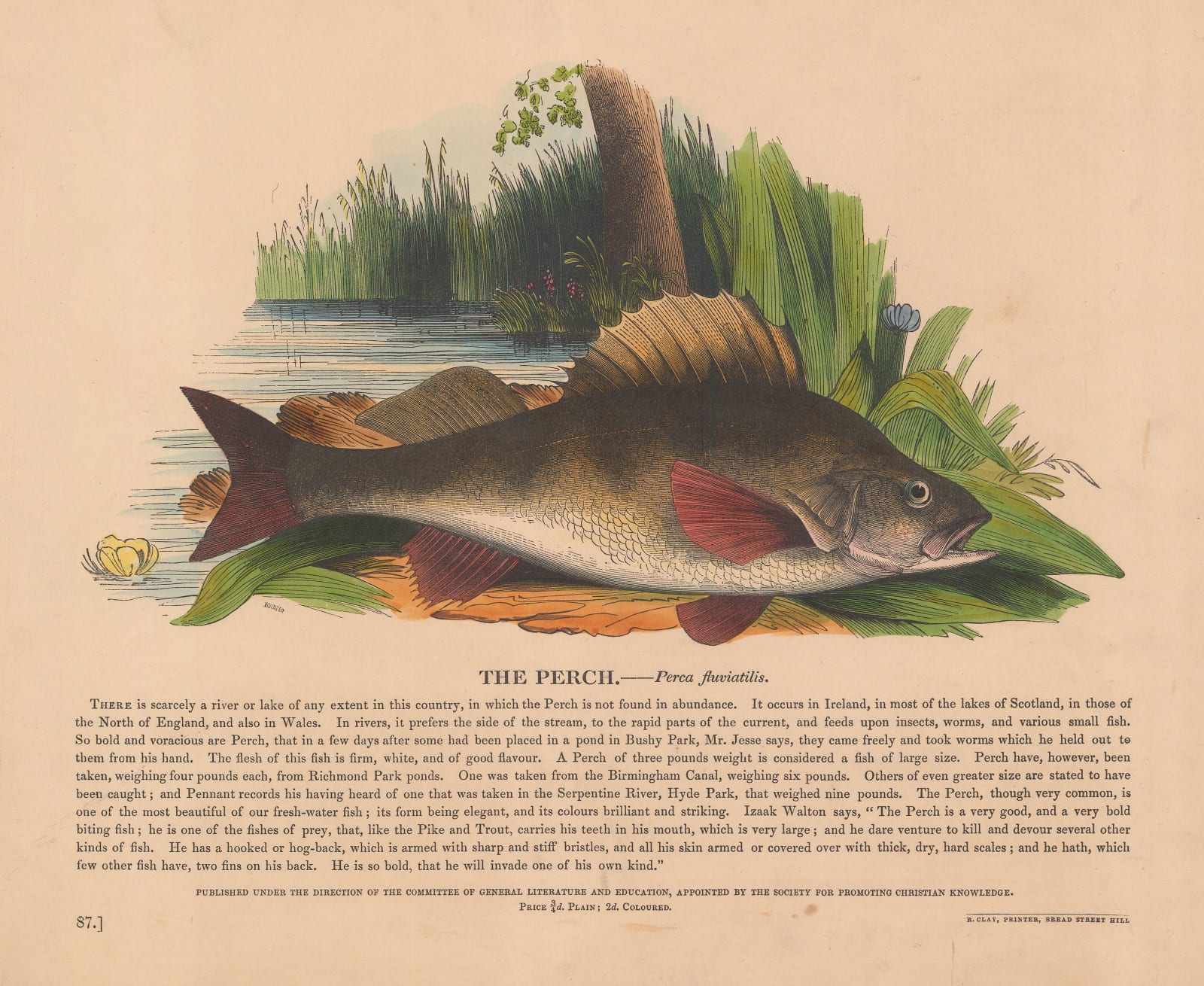 Society for Promoting Christian Knowledge (SPCK), Perch, 1843