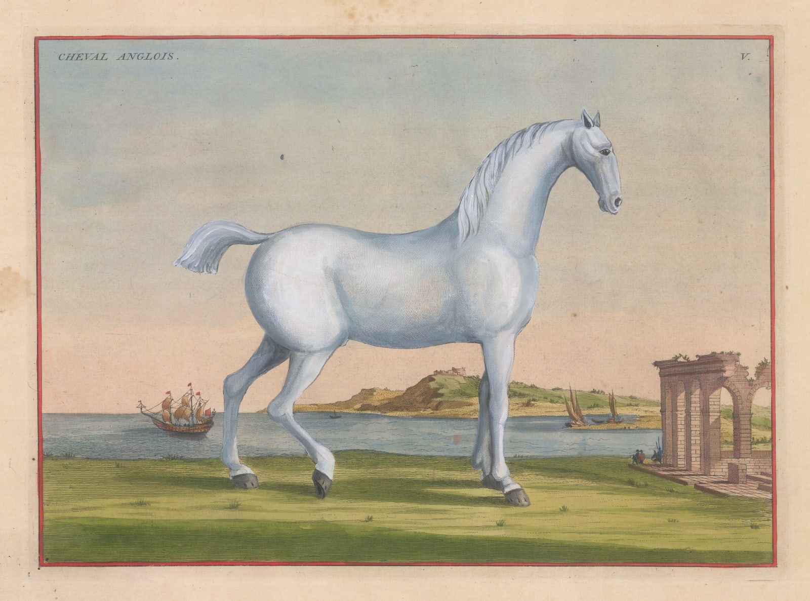 Baron Friedrich von Eisenberg, Horses - Dressage, 1727