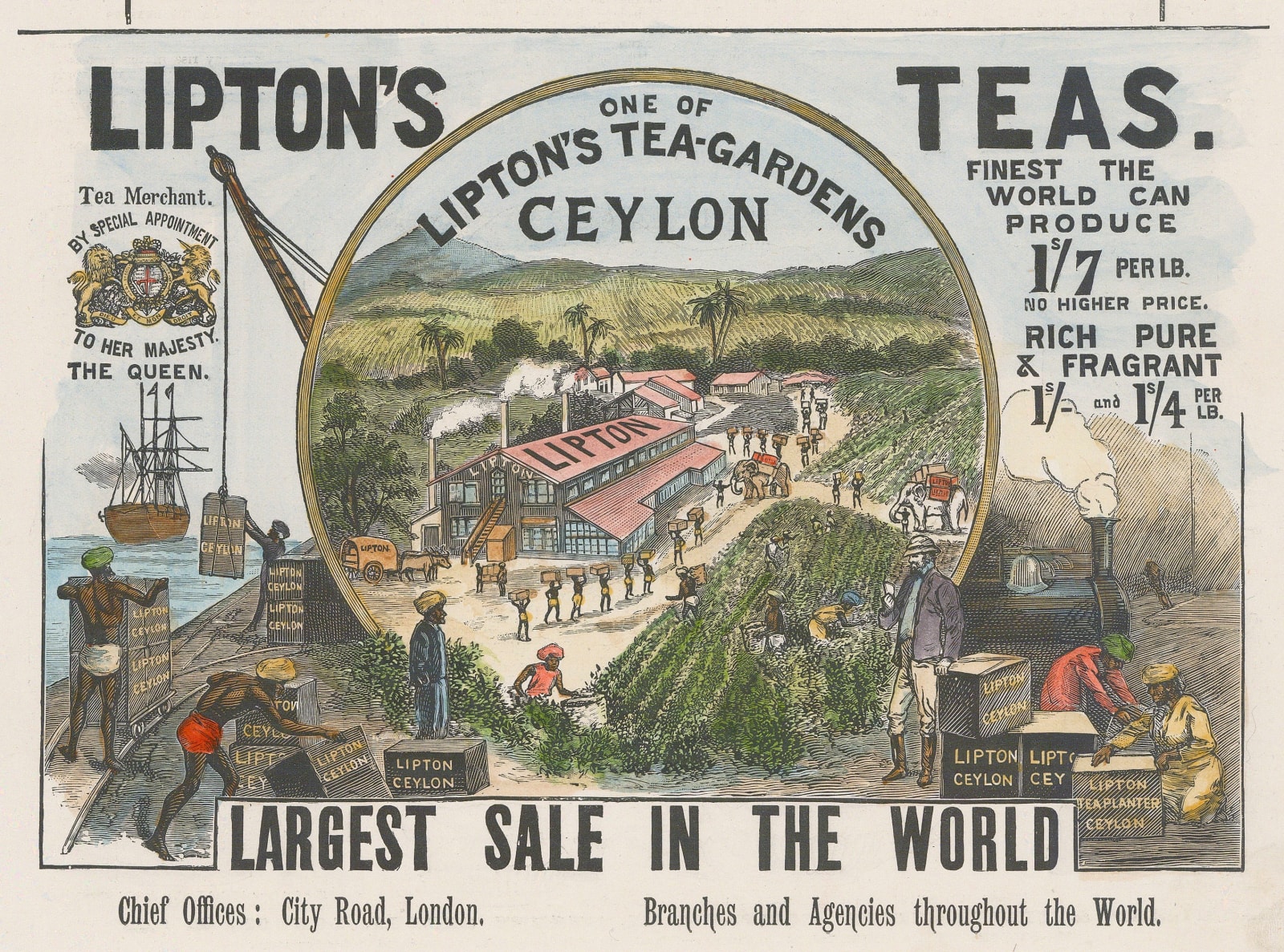 Illustrated London News (ILN), Tea - Lipton's Tea Merchants, 1896