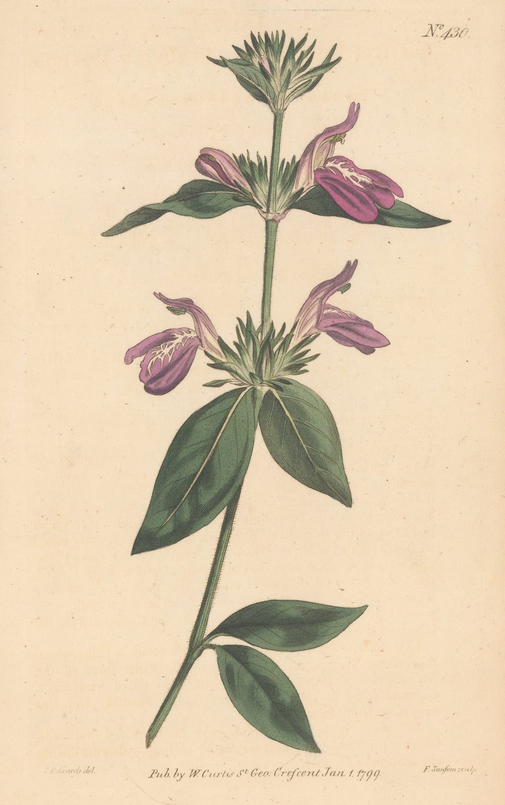 William Curtis, Justicia - Peruvian Justicia, 1795