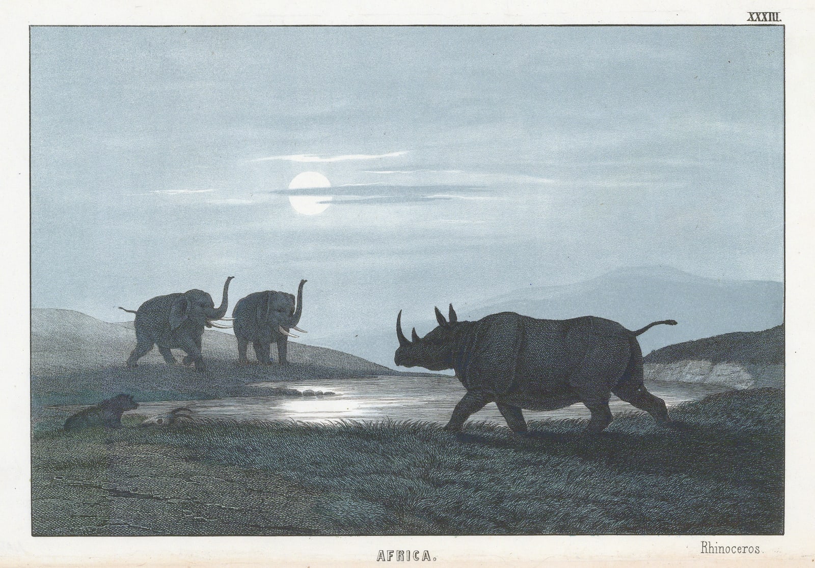 Edmonston & Douglas, Rhinoceros and Elephants, 1862