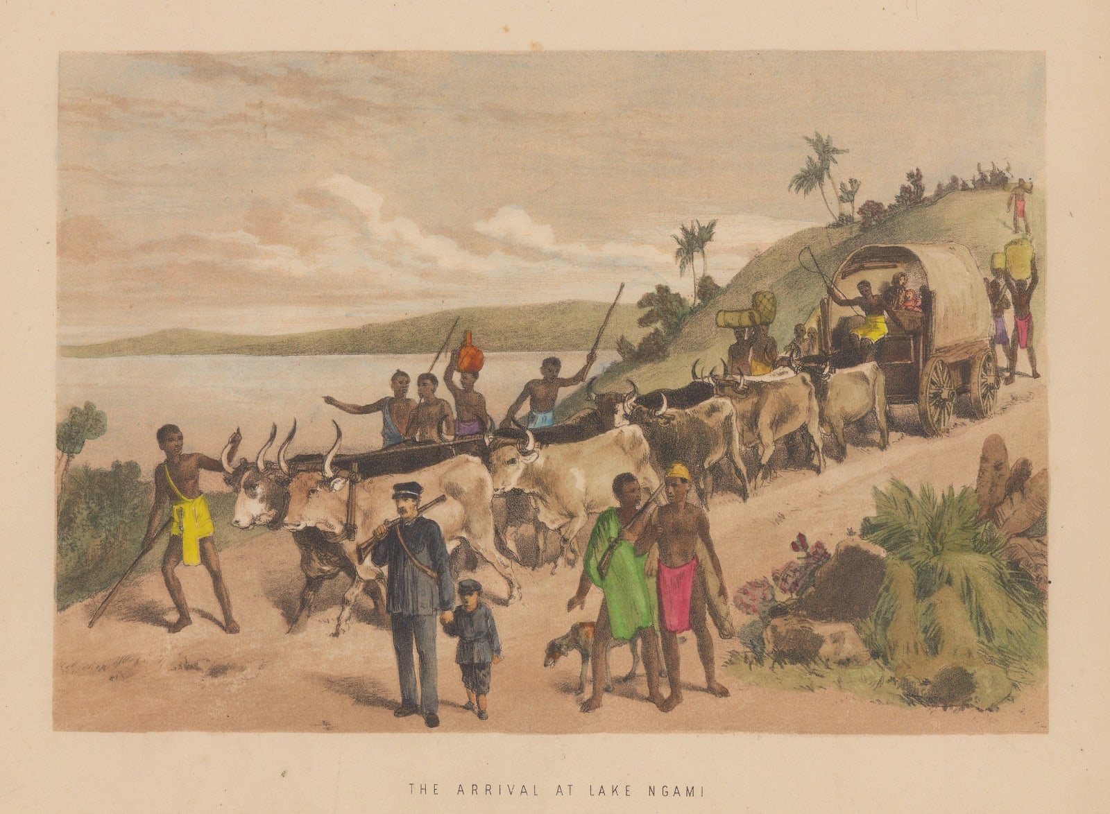 John Roberts, Botswana - Dr Livingstone at Lake Ngami, 1878