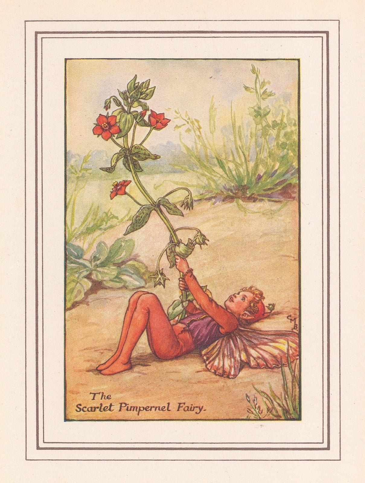 Cicely Mary Barker, Fairies - Scarlet Pimpernel Fairy, 1925 c.