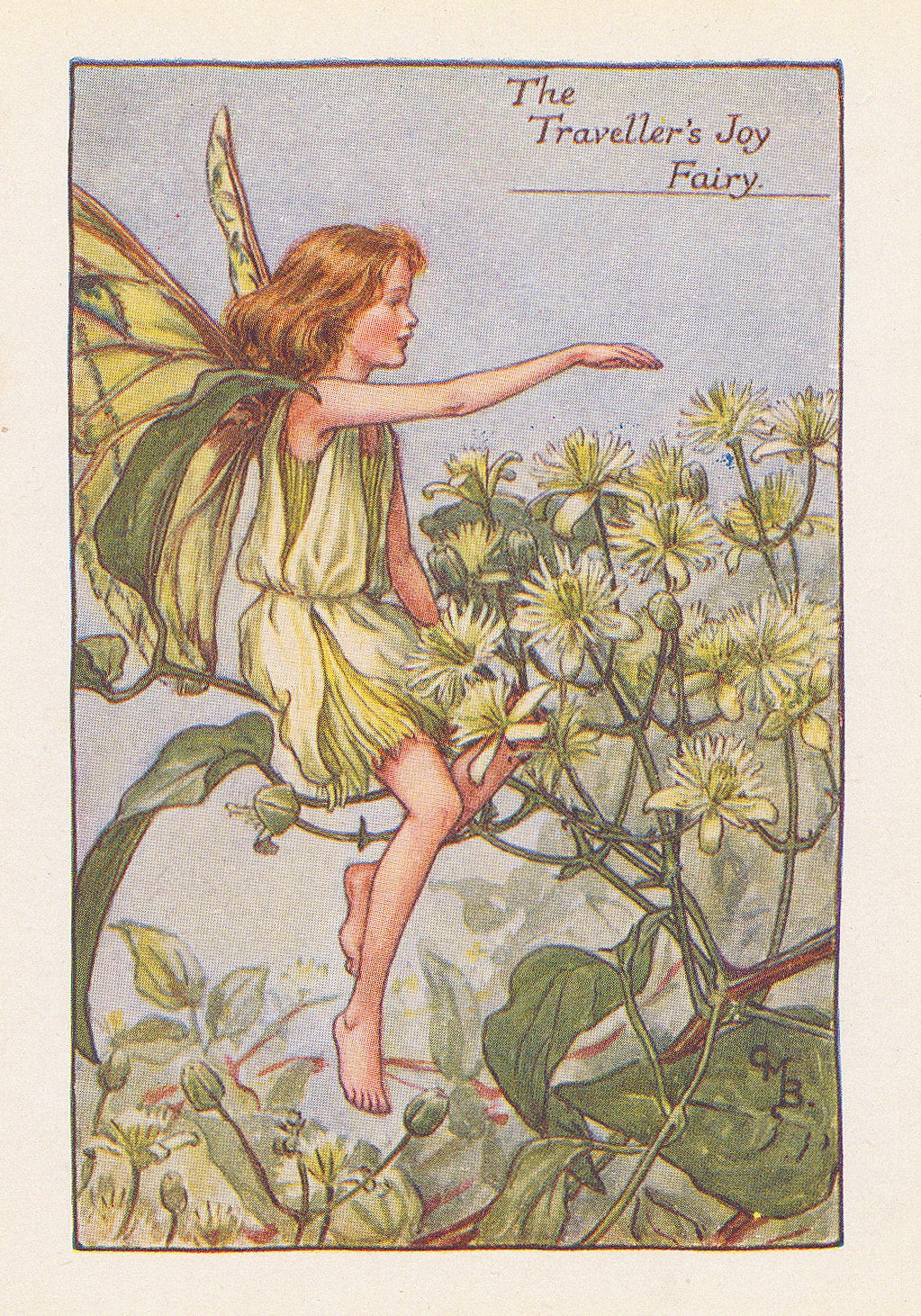 Cicely Mary Barker, Fairies - Traveller's Joy Fairy, 1925