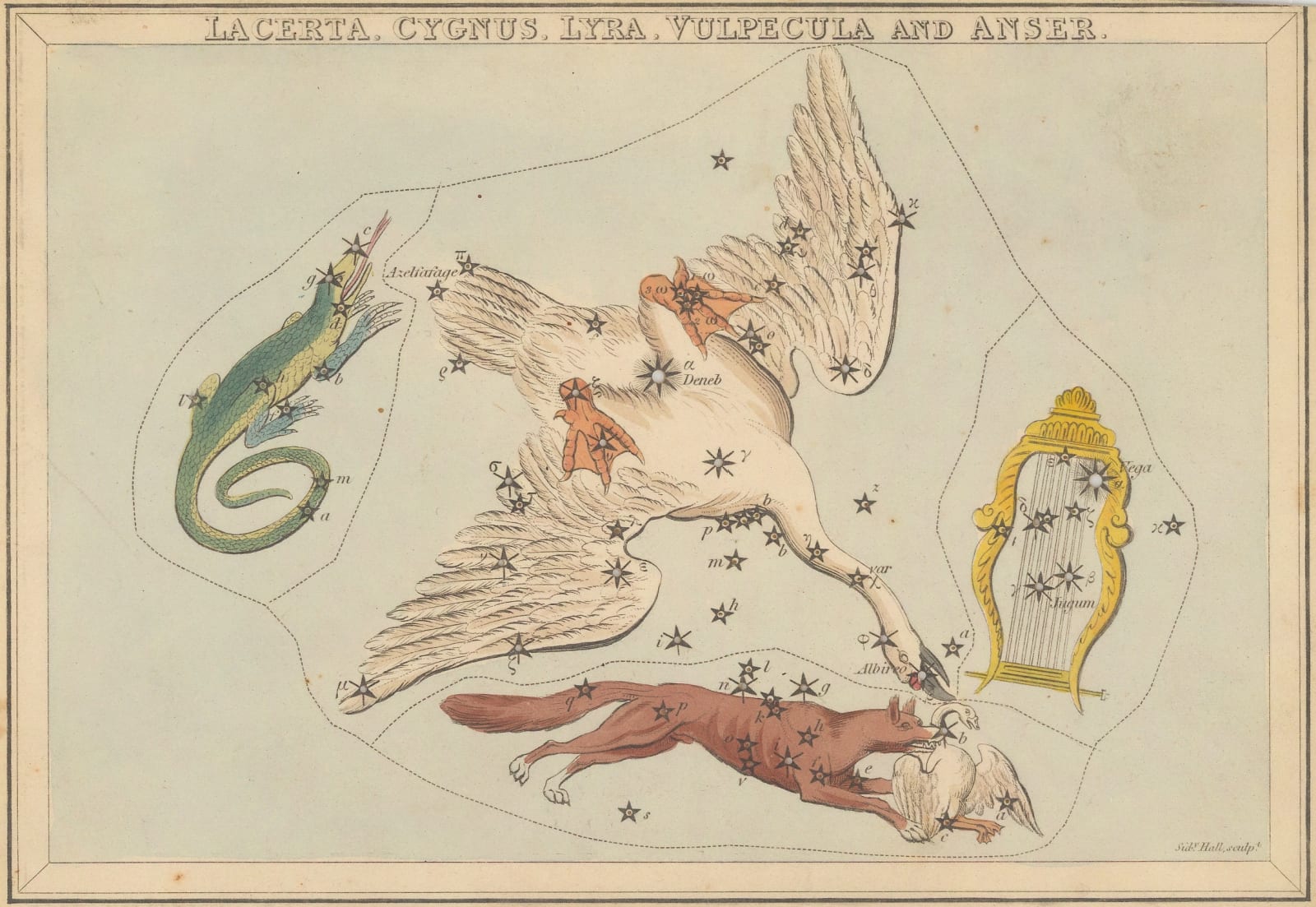 Samuel Leigh, Constellations - The Lyre, the Little Fox, The Swan and The Lizard, 1824 c