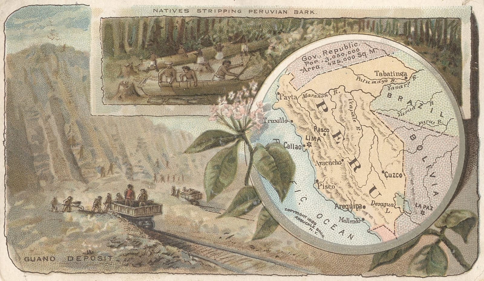 Arbuckle Brothers Company, [Peru], 1890 c.