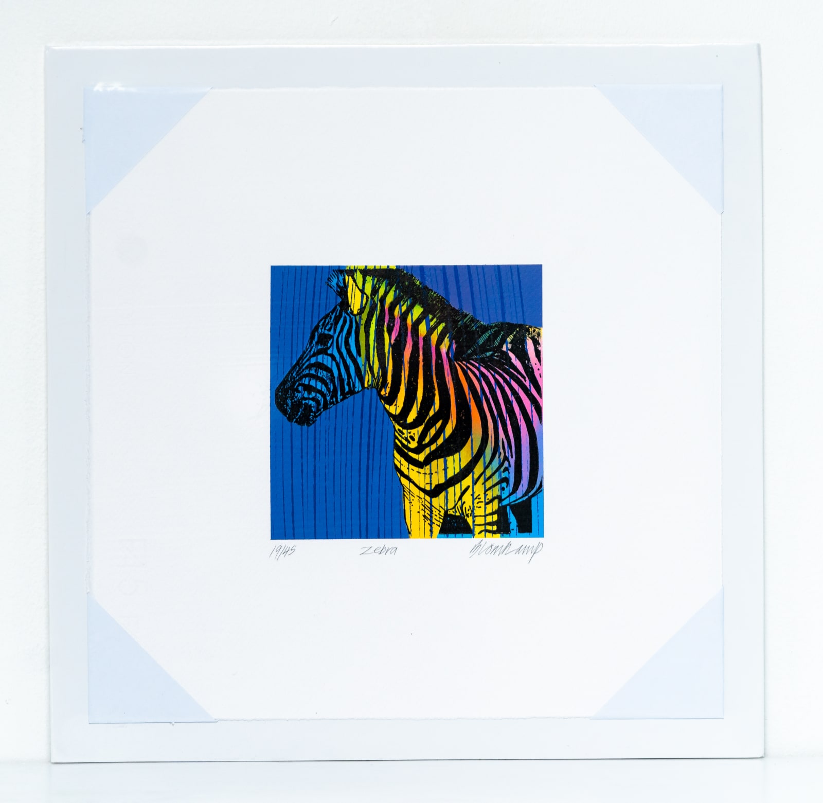Paul Blomkamp, Zebra, 2022