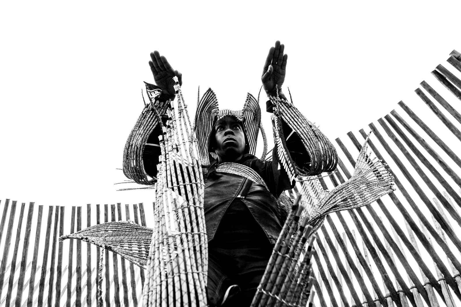 Clint Strydom, ARCHIVE _ Series 2 - The Self: Animal Spirit, 2020
