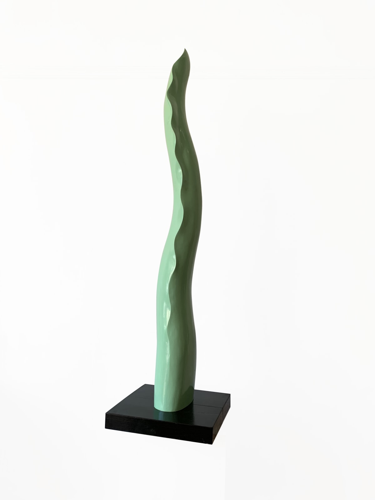 Jacques Dhont, Life, 2020