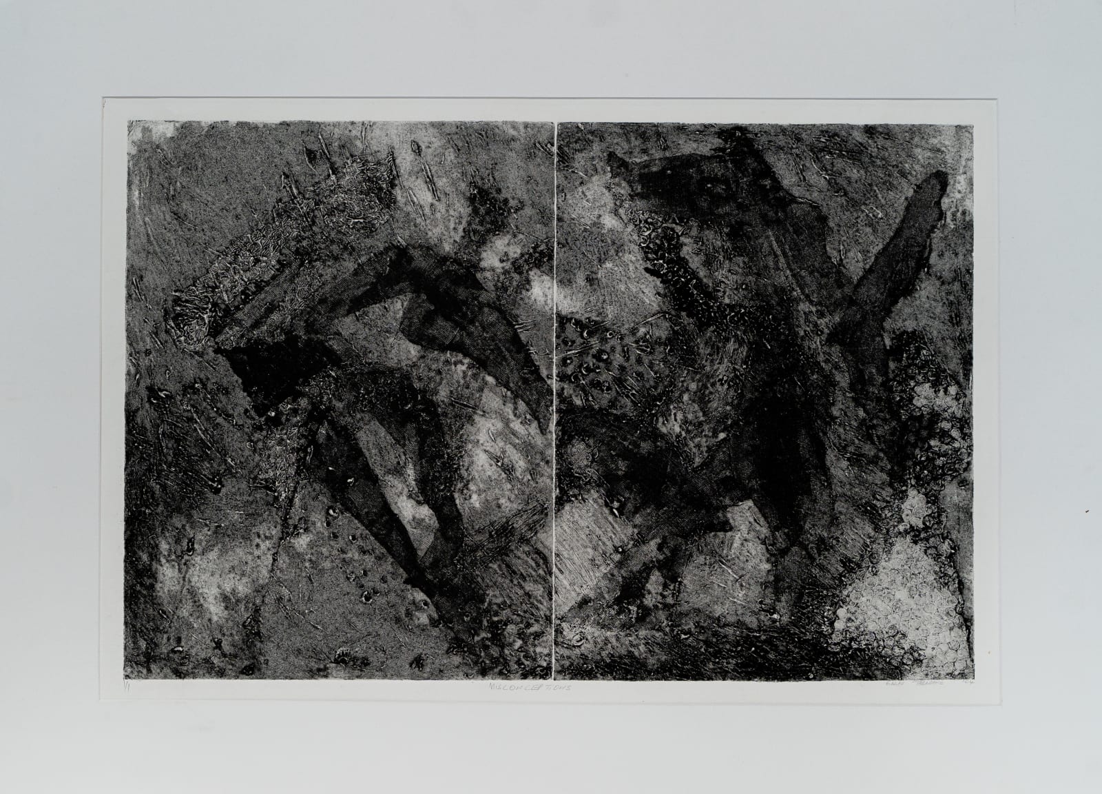 Sarah Tabane, Misconception
