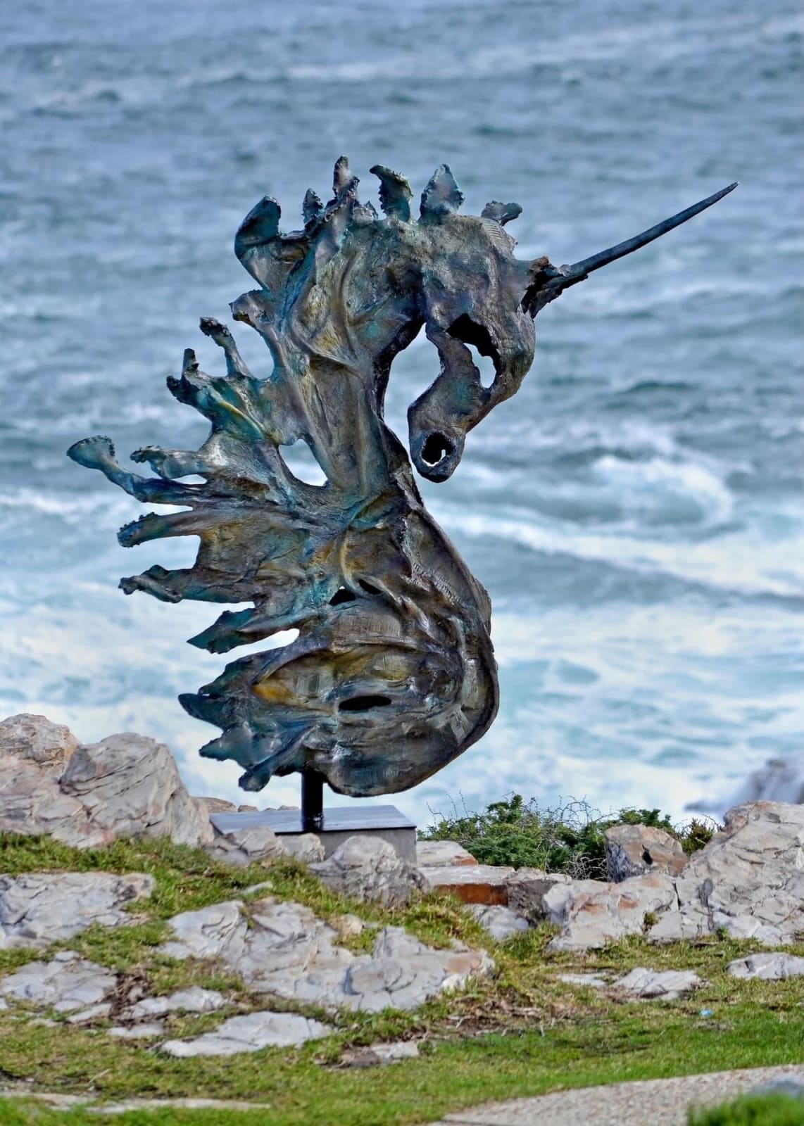 Janko de Beer, HippoCampus, 2024