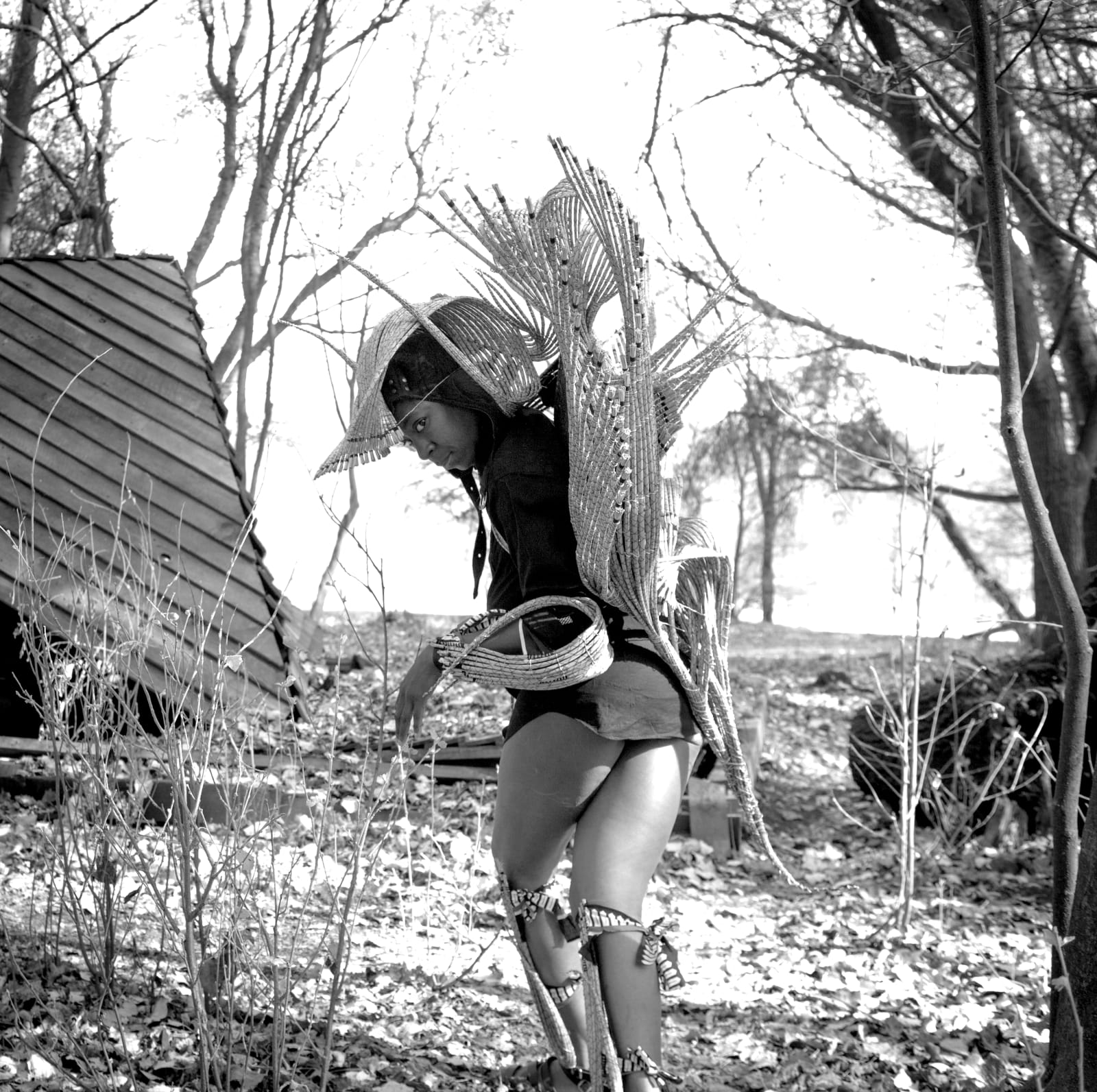 Clint Strydom, Series 4 - Homage to the Eagle: Temptation, 2020