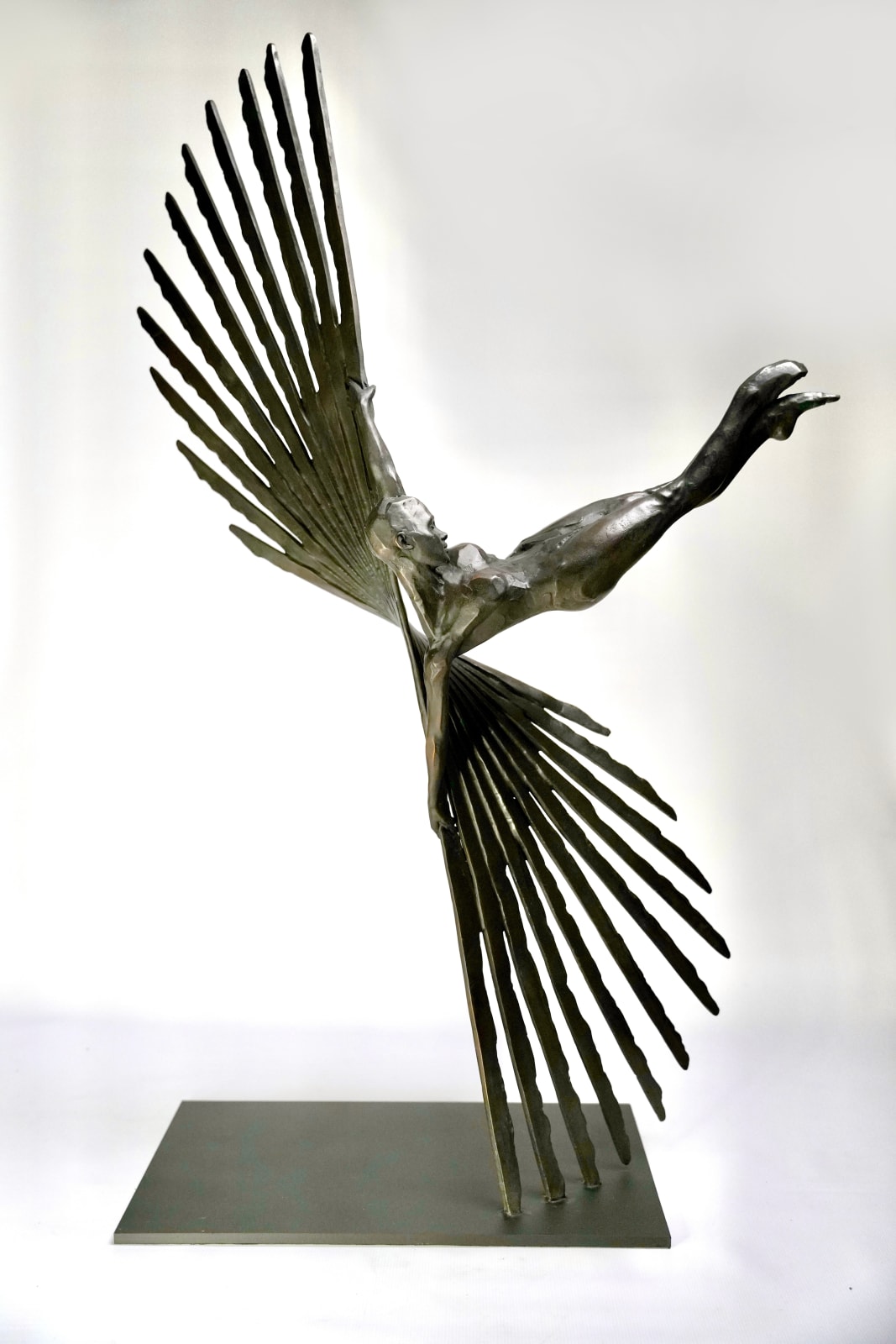 James Cook, Free Fall, 2024