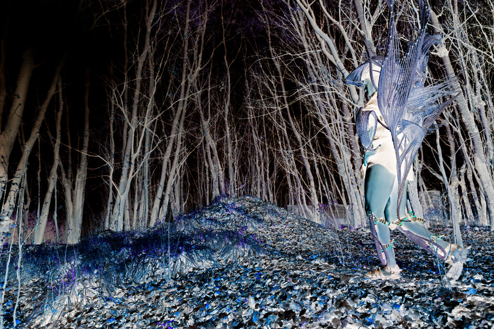 Clint Strydom, ARCHIVE _ Series 3 - Path to Glory: Defeat the Darkness, 2020