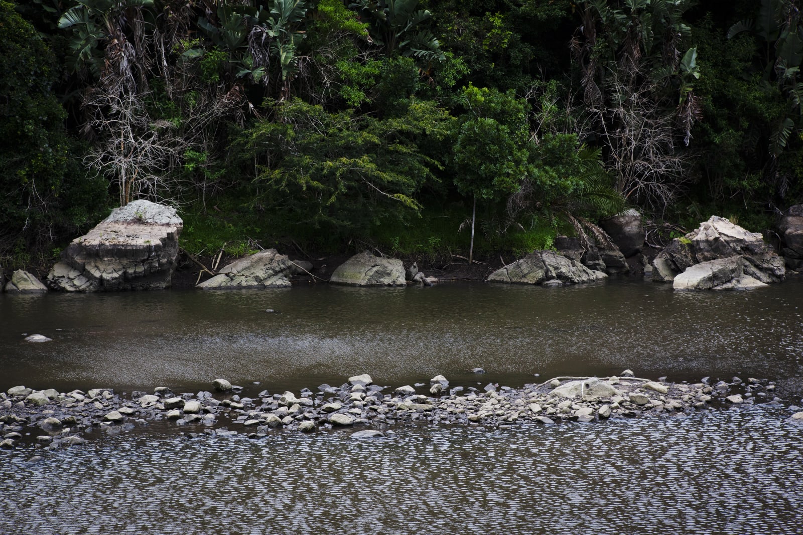 Paul Weinberg, Earthsongs, 2019 - 2021
