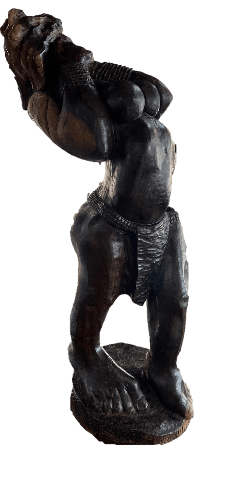 Meshark Matamela Raphalalani, Novice