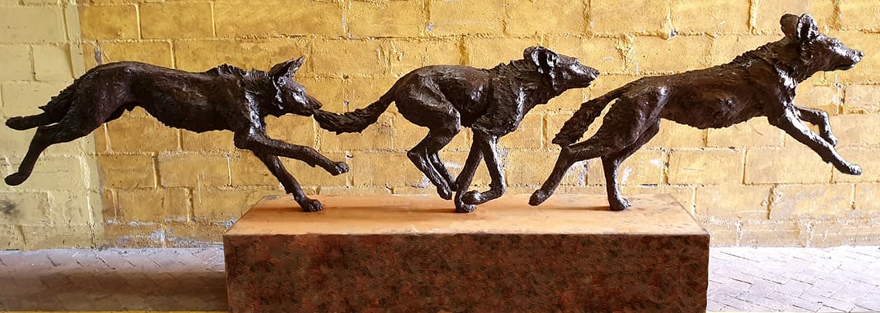 Alan Ainslie, Painted wolves (wild dog)