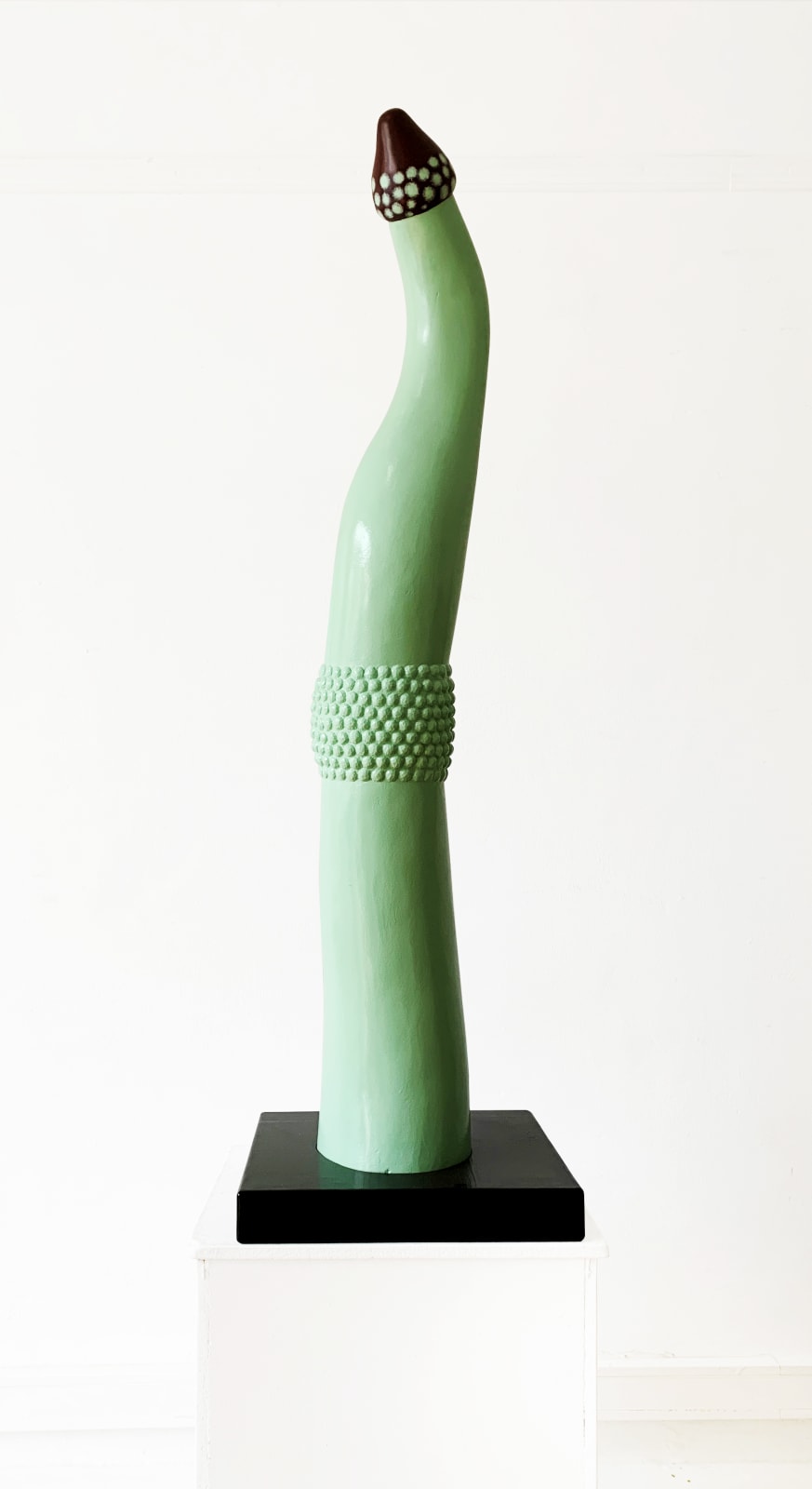 Jacques Dhont, Colonial Turn (protection) II , 2021