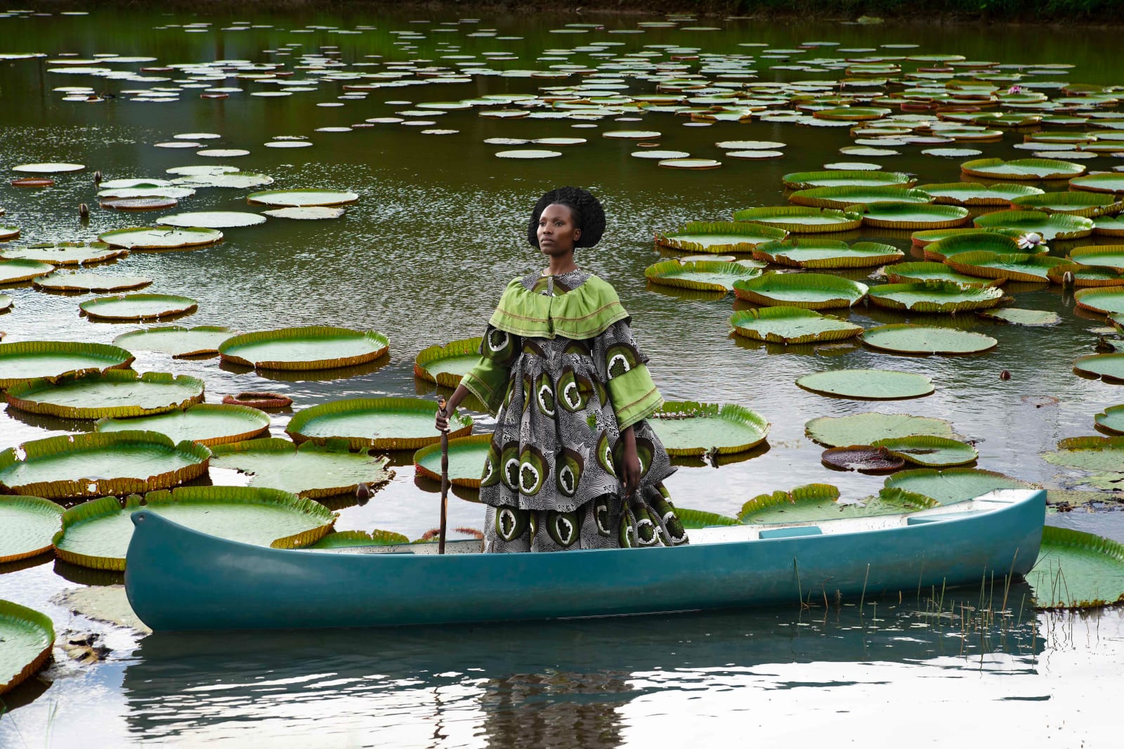 Tamary Kudita, Lotus, 2022