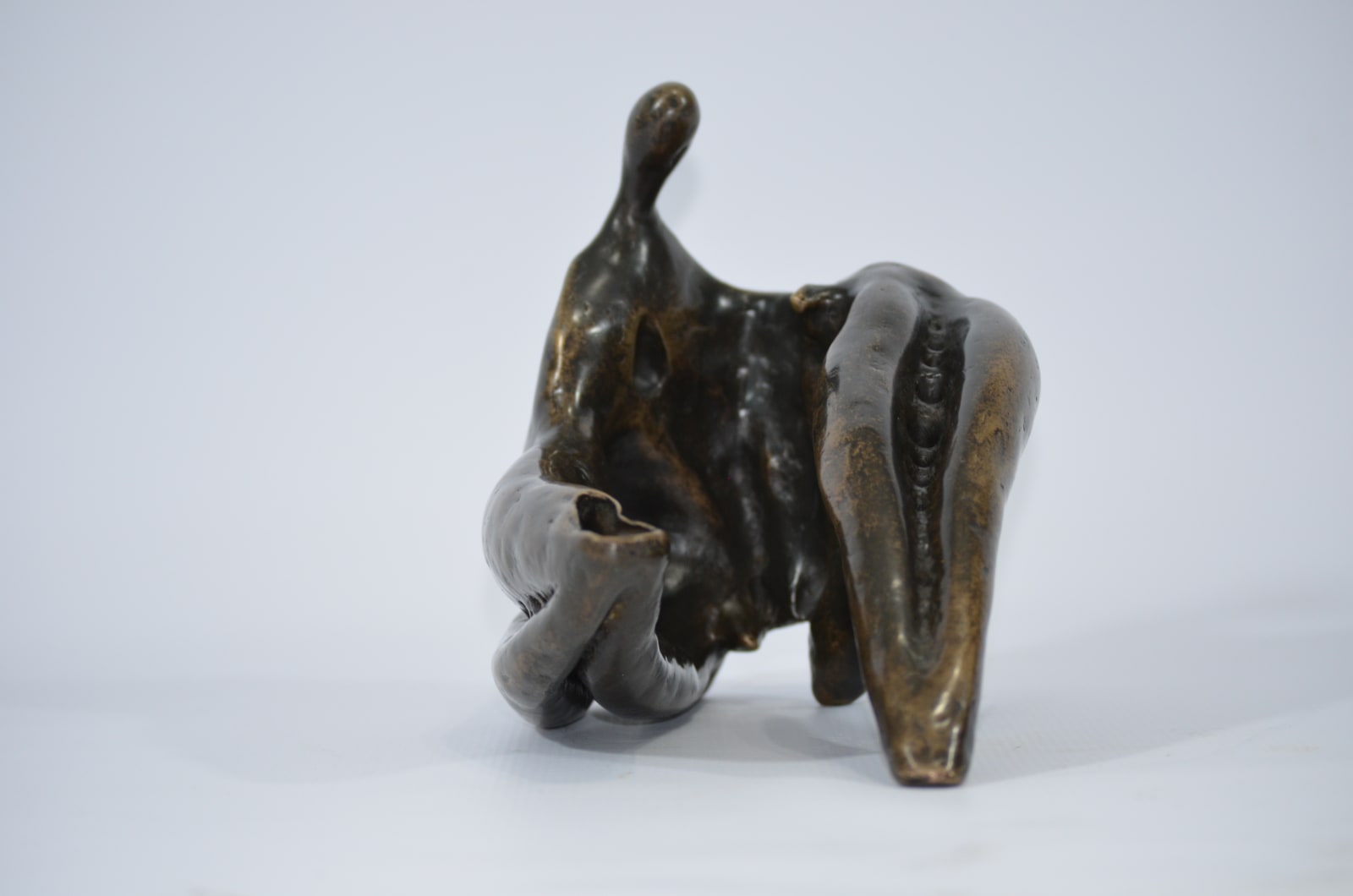 Dries Fourie, Ascension of the Soul I