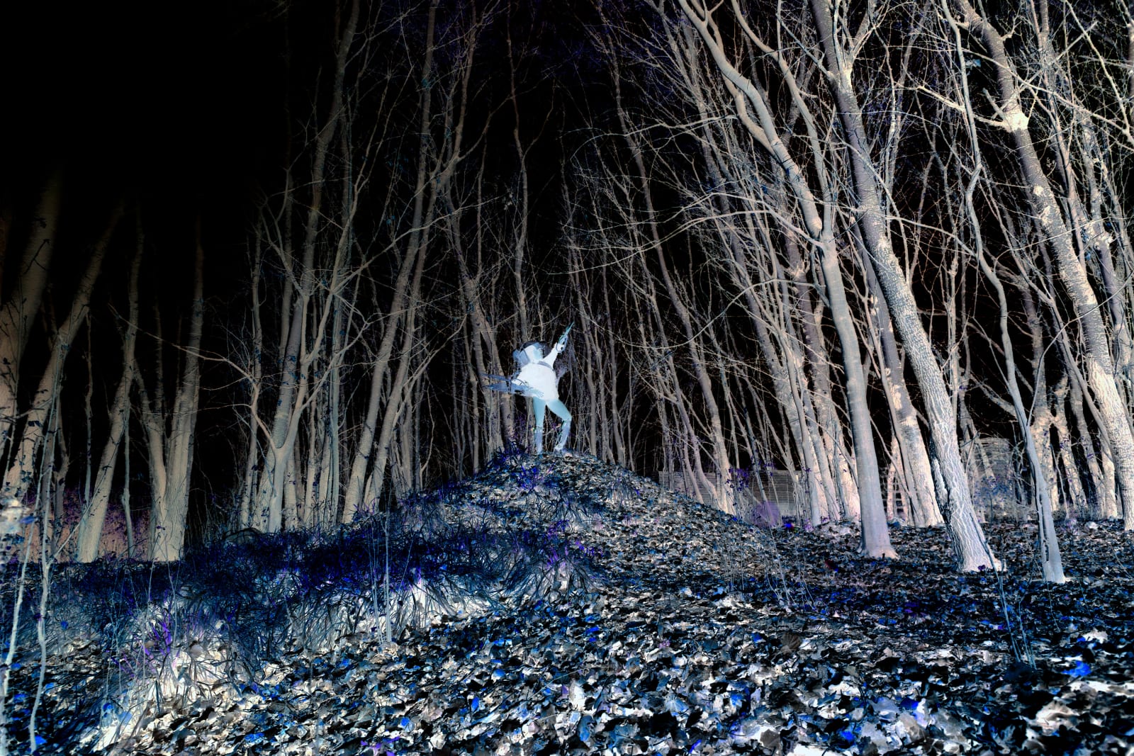 Clint Strydom, ARCHIVE _ Series 3 - Path to Glory: Higher Ground, 2020