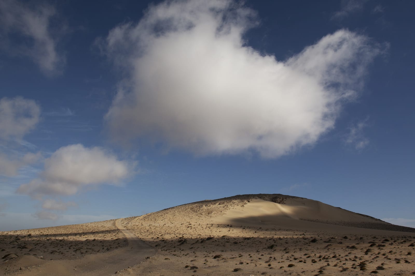 Paul Weinberg, Earthsongs, 2019 - 2021