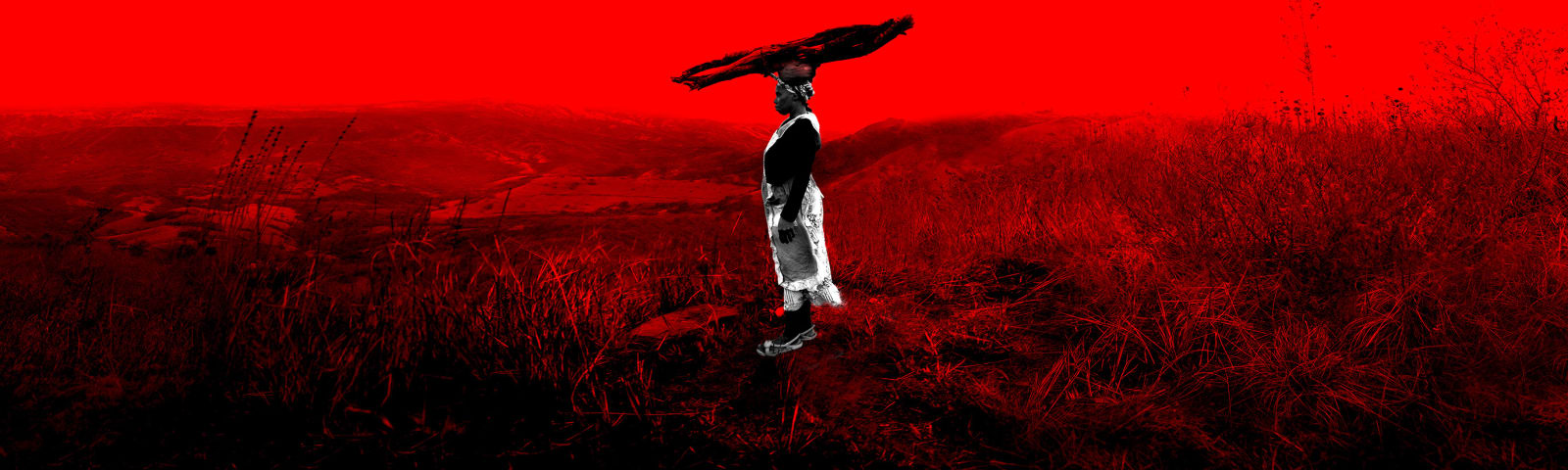 Clint Strydom, Lady with Firewood, KwaZulu Natal , 2014