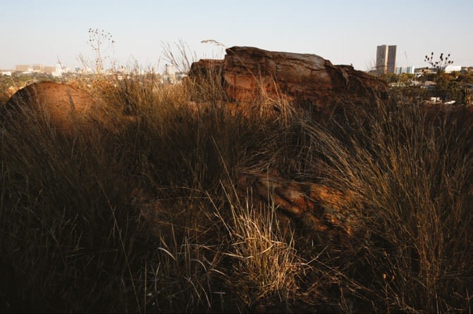 Paul Weinberg, Earthsongs, 2019 - 2021