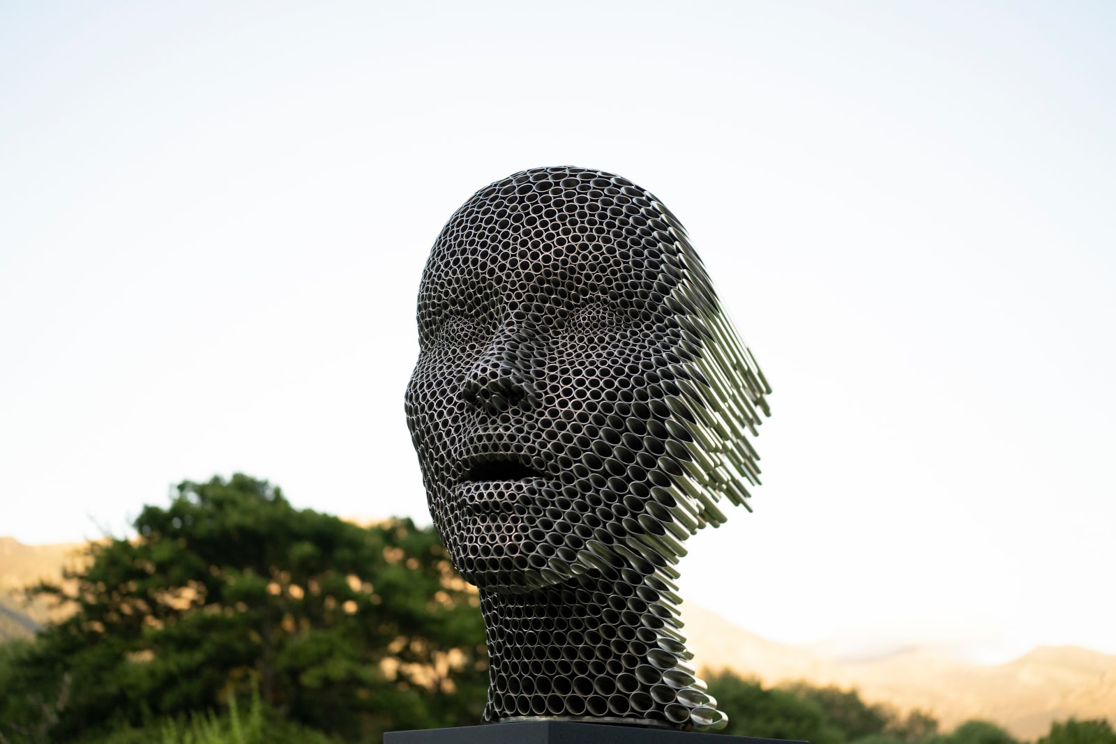 Alexander Savvas, Anemoi, 2022