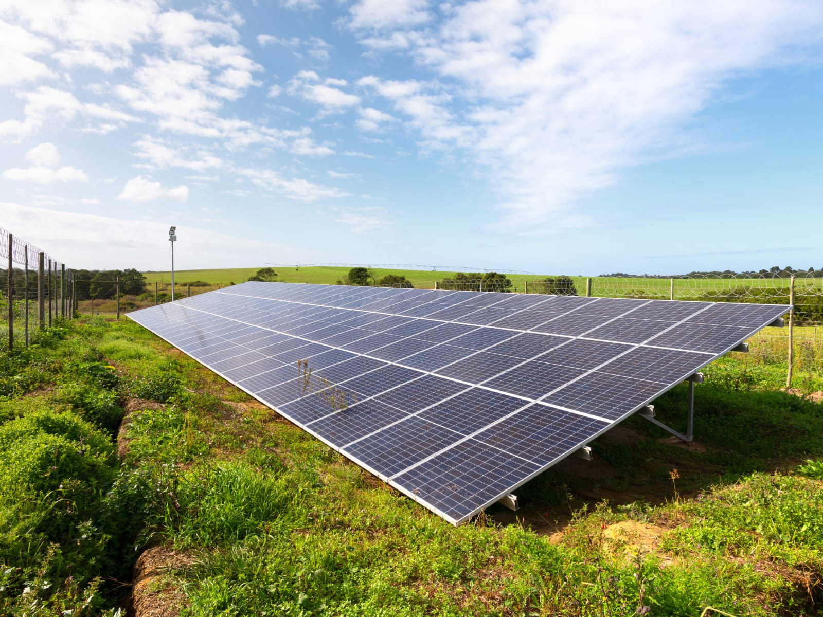 Dillon Marsh, Skimmelkrans 17, 2022