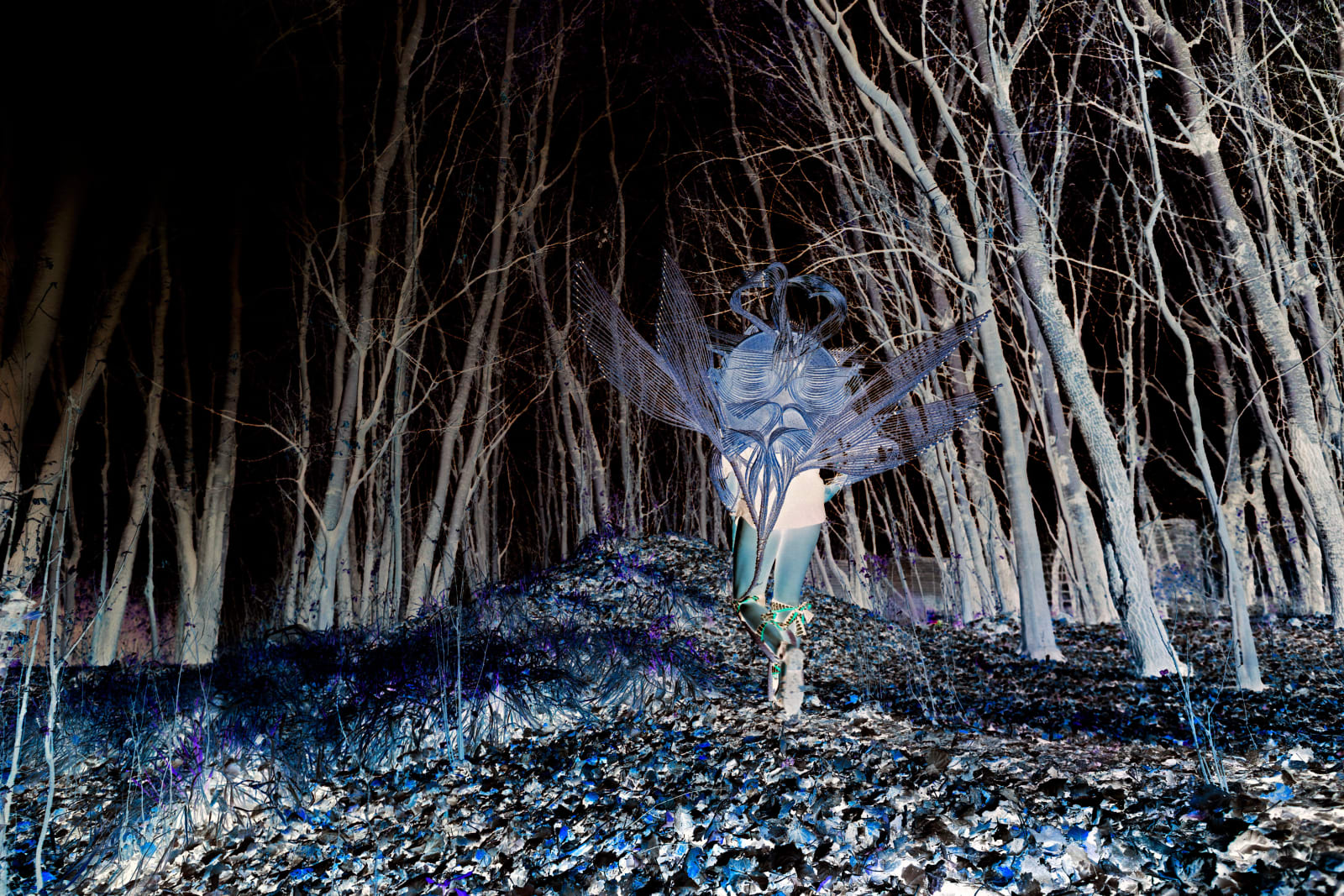 Clint Strydom, ARCHIVE _ Series 3 - Path to Glory : Path to Glory, 2020