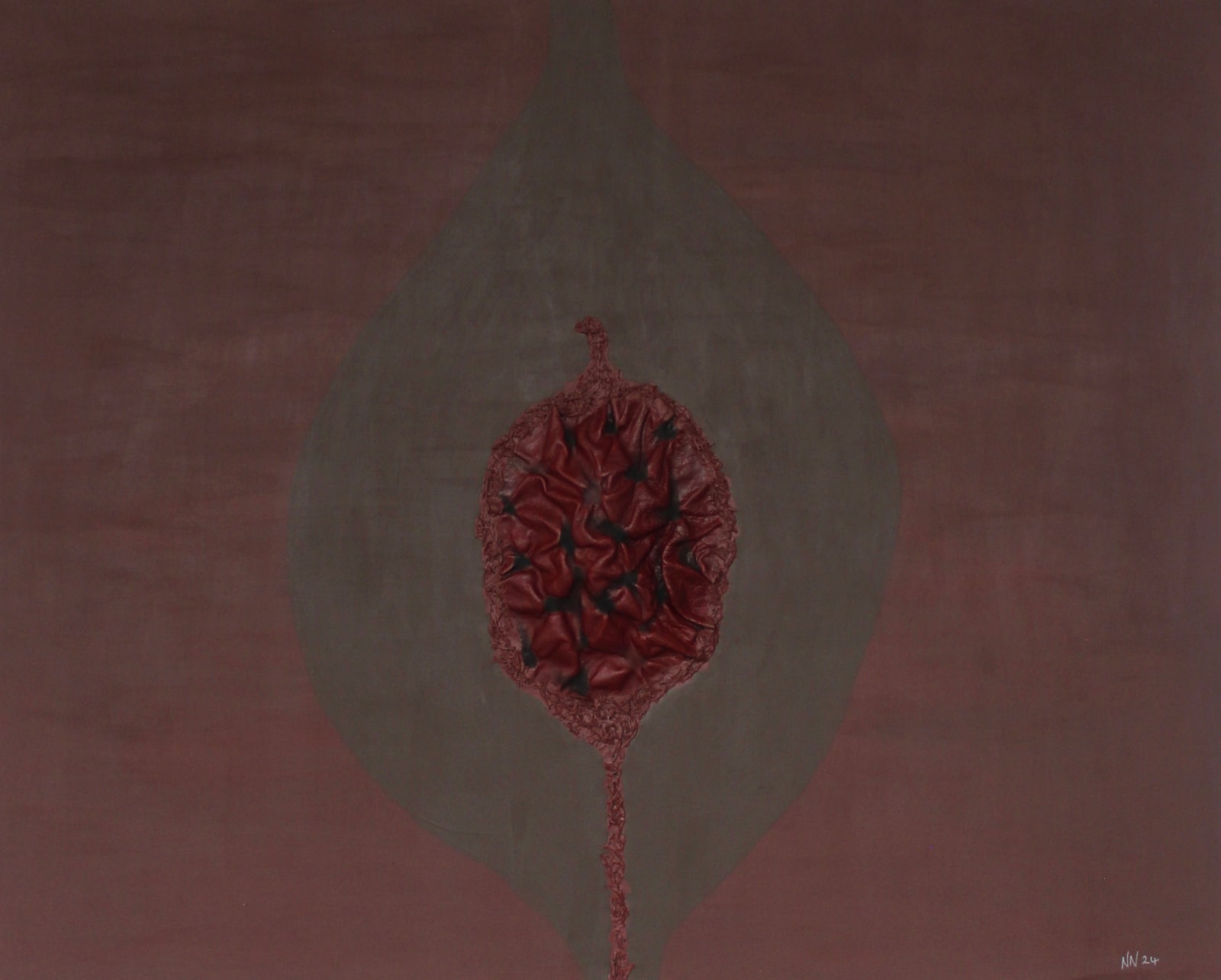 Nwabisa Ntlokwana, Seeding, 2024