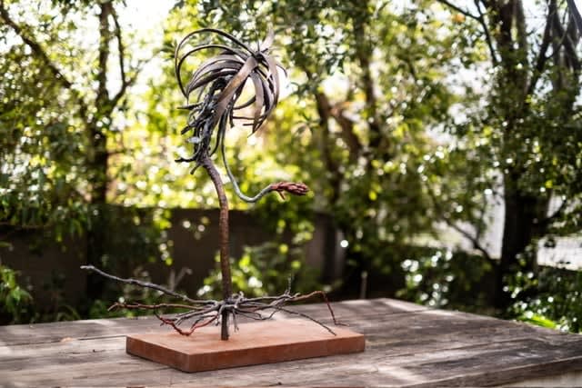 Rix Wellmann, Dancing Aloe, 2023