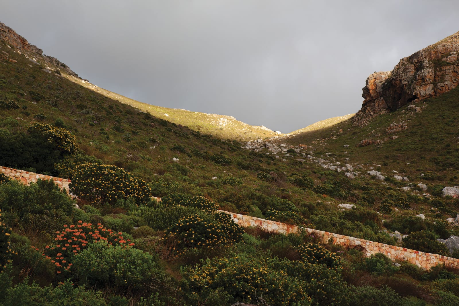 Paul Weinberg, Earthsongs, 2019 - 2021
