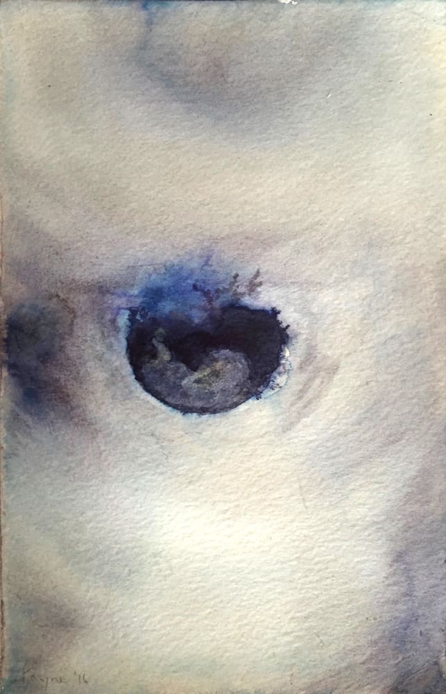 Tracy Payne, Ultrasound I , 2016